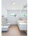 Buy LOGOS Grey ceiling lamp for bathrooms Faro Barcelona Iluminacion 62980