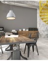 Buy CHARLOTTE DARK GREY PENDANT LAMP 1XE27 60W, Faro Barcelona, 68562