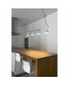 Buy FLASH LED WHITE PENDANT LAMP 4L, Faro Barcelona, 20203