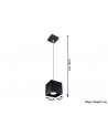 Pendant lamp QUAD 1 black