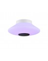 Oriana Flat Ceiling, 22W LED, IP44, RGB/Remote Control/App Control With Built In Speaker, Bluetooth Connection, White