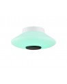 Oriana Flat Ceiling, 22W LED, IP44, RGB/Remote Control/App Control With Built In Speaker, Bluetooth Connection, White