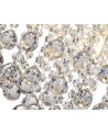 Elene Ceiling Light, 4 x G9, IP44, Polished Chrome/Crystal