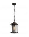 Ophelia Pendant, 1 x E27, Antique Bronze/Clear Glass, IP54, 2yrs Warranty