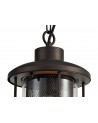 Ophelia Pendant, 1 x E27, Antique Bronze/Clear Glass, IP54, 2yrs Warranty