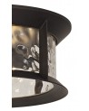 Genevieve Flush Ceiling Lamp, 2 xE27, Antique Bronze/Clear Ripple Glass, IP54, 2yrs Warranty