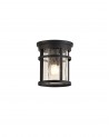 Hazel Ceiling, 1 x E27, Black/Clear Crackled Glass, IP54, 2yrs Warranty
