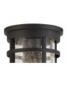 Hazel Ceiling, 1 x E27, Black/Clear Crackled Glass, IP54, 2yrs Warranty