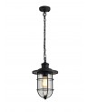 Araminta Pendant, 1 x E27, Black/Gold With Seeded Clear Glass, IP54, 2yrs Warranty
