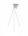 Buy FOCUS 1-Light Floor Lamp Grey, 100240128
