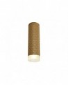 Megan 1 Light 20cm Surface Mounted Ceiling GU10, Champagne Gold/Acrylic Ring