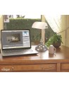 Morgan Bankers Table Lamp 1 Light E27 Gold/Green Glass