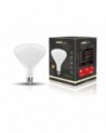 LED Type N3 E27 Dimmable 4W 2700K 320lm