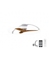 Nepal 75W LED Dimmable Ceiling Light With Built-In 35W DC Reversible Fan, Silver/Wood Finish