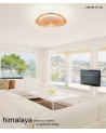 Himalaya 70W LED Dimmable Ceiling Light With Built-In 35W DC Fan White Finish
