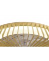 Himalaya 70W LED Dimmable Ceiling Light With Built-In 35W DC Fan Wood Finish