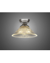 Wisp 1 Light Flush Ceiling E27 With Flat Round 30cm Glass Shade Polished Nickel/Clear