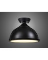 Francis 31cm Flush Ceiling Fitting, 1 x E27, Black / Frosted Glass
