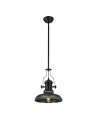Francis 1 Light Pendant E27 With 30cm Round Glass