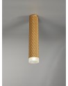 Megan 1 Light 30cm Surface Mounted Ceiling GU10, Champagne Gold/Acrylic Ring