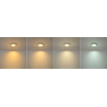 Elegance 5/7W CCT Selectable Fire Rated LED Downlight - Triac Dimmable, Brass Gold