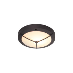 Daru Framed Bulkhead Wall Lamp, 1 Light E27, Anthracite, IP54