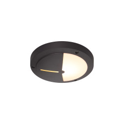 Daru Eyelid Bulkhead Wall Lamp, 1 Light E27, Anthracite, IP54