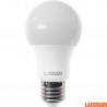 Buy A60 E27 13W LED Bulb