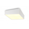Buy Mantra Iluminacion Mini Ceiling 60cm Square, 8 x E27 White 6160