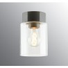 IE_7112-510-10 Ifo Electric Open Tina clear glass